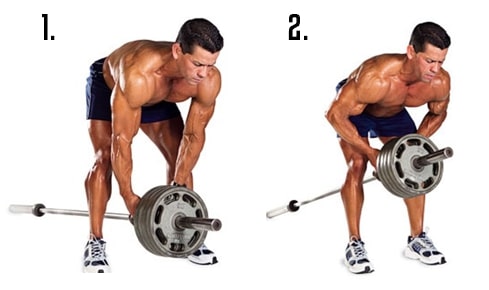 bent row back exercise
