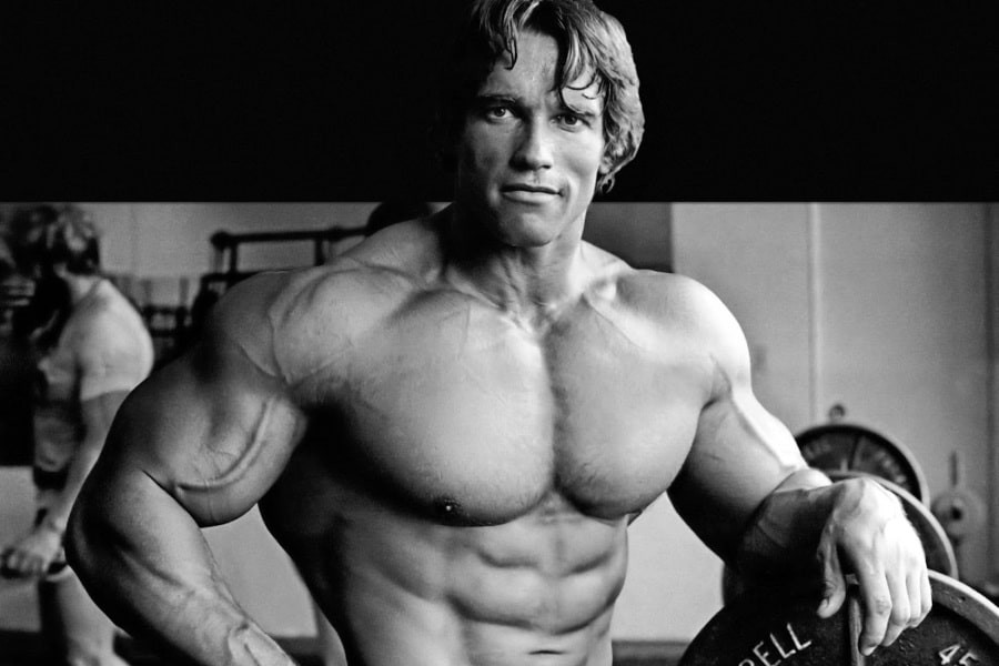 Arnold Schwarzenegger S Ultimate Shoulder And Arms Workout