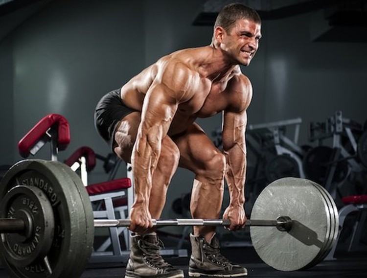 Best Core Exercises to Improve Squat and Deadlift